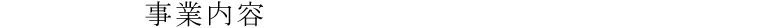 事業内容